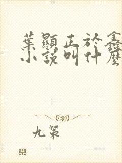 叶显正于鑫原著小说叫什么