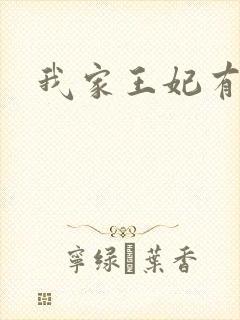 我家王妃有点野封面