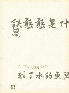 铁憨憨是什么意思