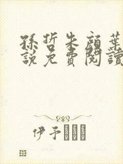 孙哲朱颜叶巧小说免费阅读笔趣阁