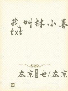 我叫林小喜小说txt封面