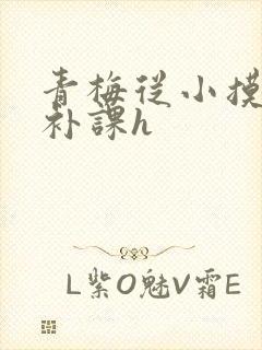 青梅从小摸到大补课h封面