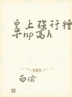 皇上强行糟蹋太子np高h