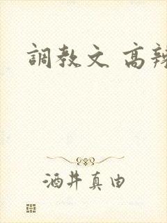 调教文 高辣