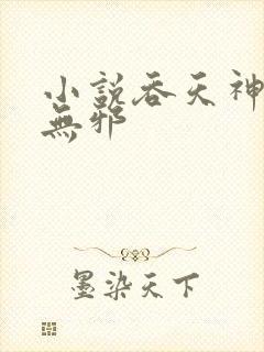 小说吞天神鼎柳无邪