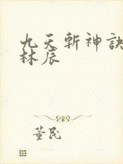 九天斩神诀一一林辰