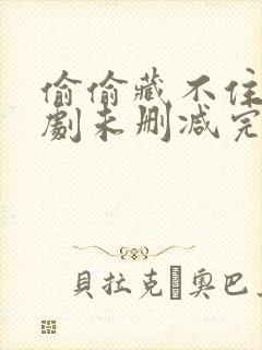 偷偷藏不住广播剧未删减完整版