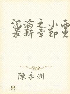 沉沦之小西全文最新章节更新