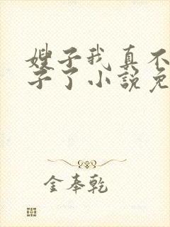 嫂子我真不是傻子了小说免费阅读全文作者