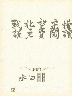 战北望宋惜惜小说免费阅读全文