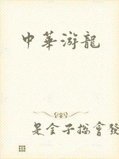 中华游龙封面