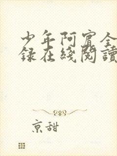 少年阿宾全文目录在线阅读
