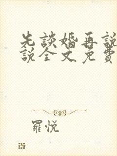 先谈婚再说爱小说全文免费阅读封面
