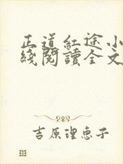 正道红途小说在线阅读全文无弹窗