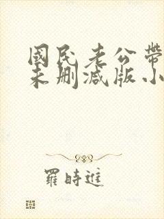 国民老公带回家未删减版小说封面