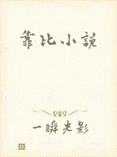 靠比小说