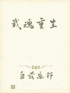 武魂重生封面