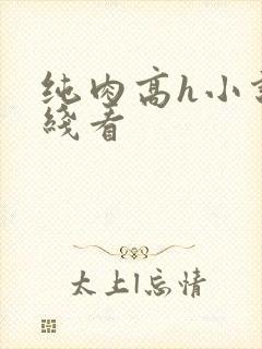 纯肉高h小说在线看