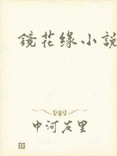 镜花缘小说