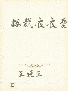 总裁夜夜爱