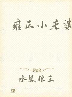 雍正小老婆封面