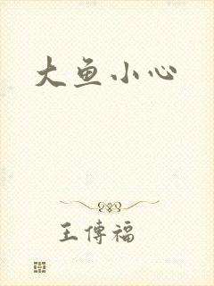 大鱼小心封面