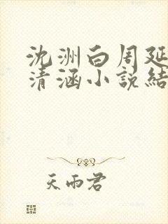 沈洲白周延川许清涵小说结局