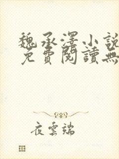 魏承泽小说全文免费阅读无弹窗笔趣封面