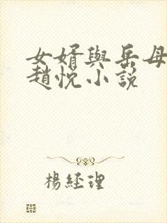 女婿与岳母陈超赵悦小说