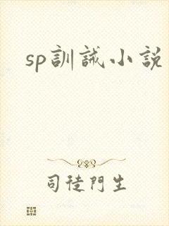 sp训诫小说封面