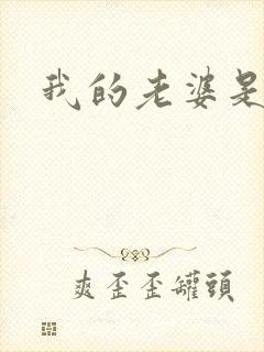我的老婆是军阀