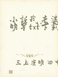 小说我老婆是大明星txt下载