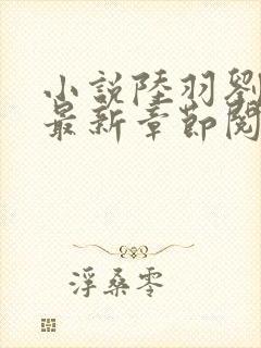 小说陆羽刘云峰最新章节阅读封面