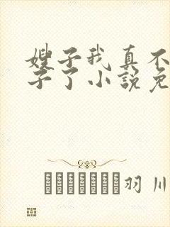 嫂子我真不是傻子了小说免费阅读全文无弹窗封面