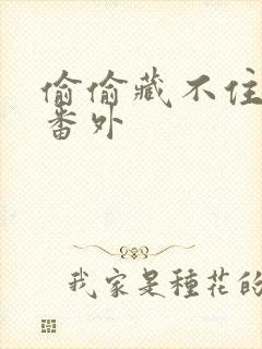 偷偷藏不住新婚番外