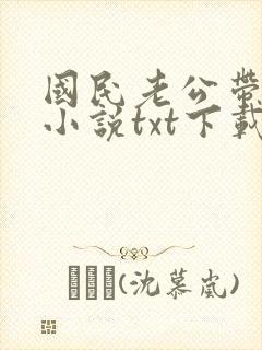 国民老公带回家小说txt下载