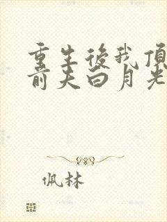 重生后我顶替了前夫白月光有声版