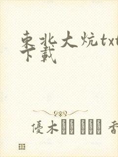 东北大炕txt下载封面