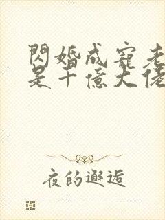 闪婚成宠老公竟是千亿大佬免费阅读
