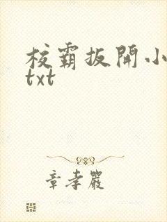 校霸扳开小班长txt封面