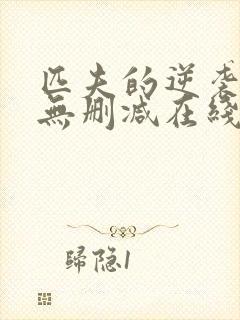 匹夫的逆袭小说无删减在线阅读封面