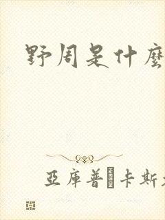 野周是什么意思