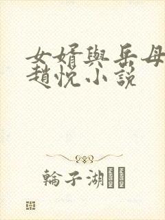 女婿与岳母陈超赵悦小说封面