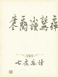 唐天小说免费大全阅读无弹窗
