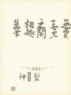 万相之王无弹窗笔趣阁免费封面