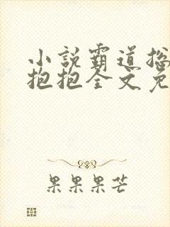 小说霸道总裁求抱抱全文免费阅读
