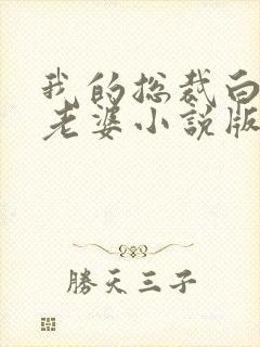 我的总裁白富美老婆小说版