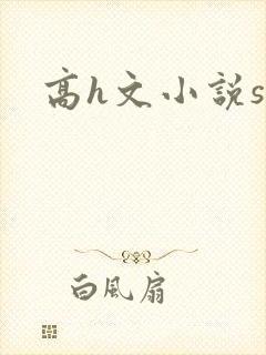 高h文小说sm