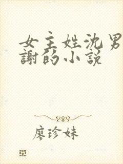 女主姓沈男主姓谢的小说