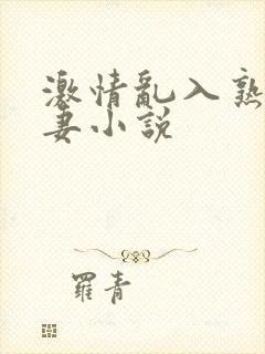 激情乱入熟妇人妻小说